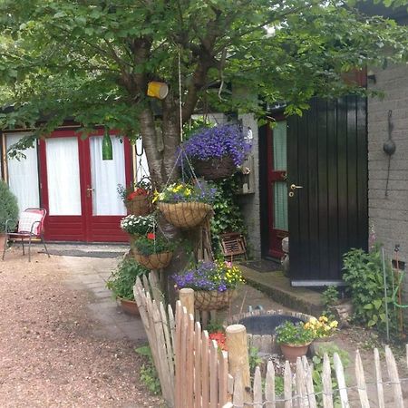 Bed And Breakfast Het Oude Bos Wijnjewoude Bagian luar foto
