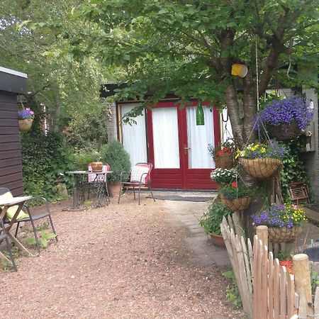 Bed And Breakfast Het Oude Bos Wijnjewoude Bagian luar foto