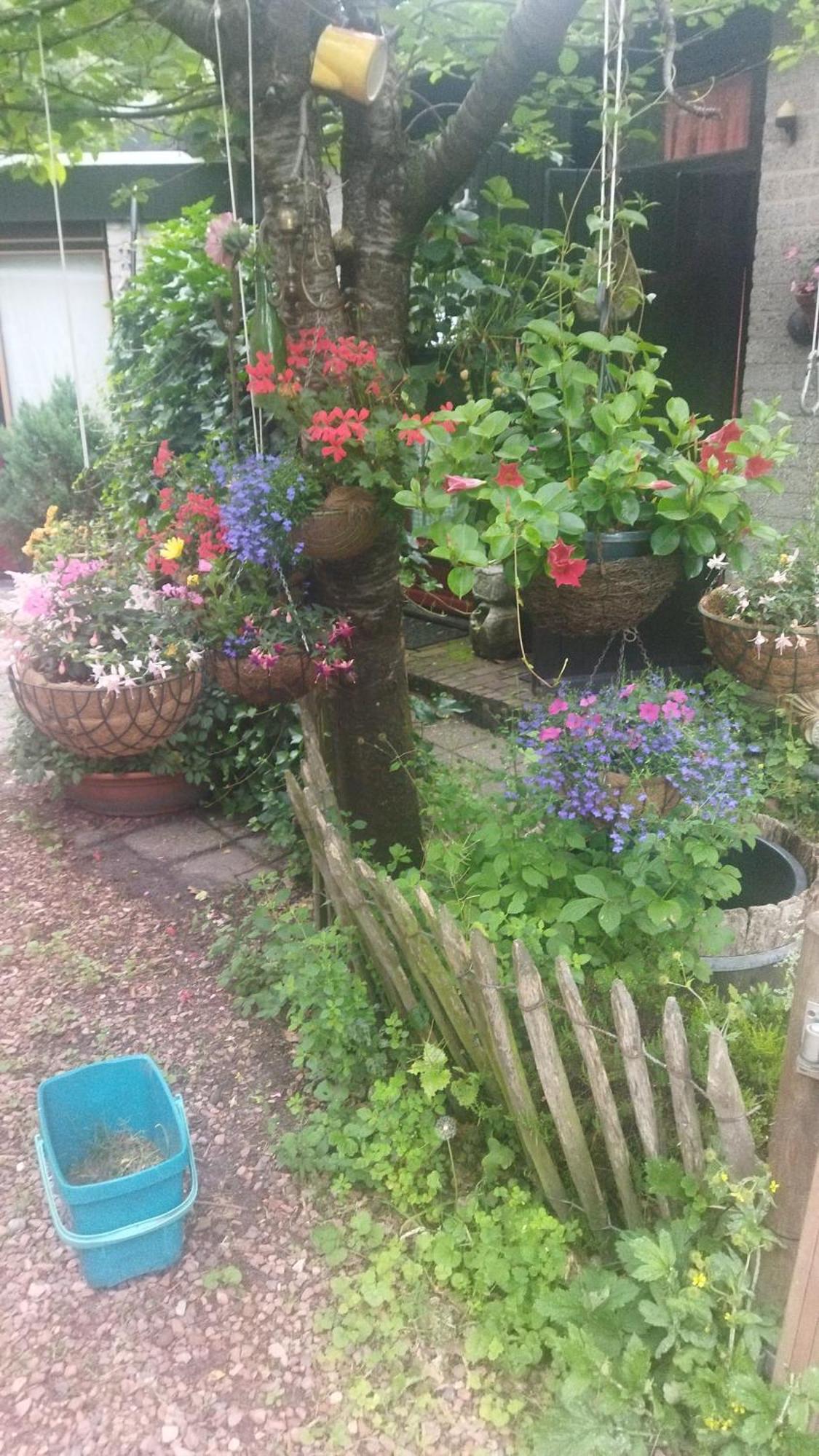 Bed And Breakfast Het Oude Bos Wijnjewoude Bagian luar foto